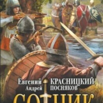 Красницкий Евгений, Посняков Андрей – Не властью единой