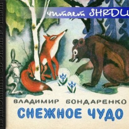 Снежное чудо  Бондаренко Владимир