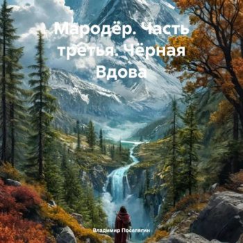 Мародёр. Часть третья. Чёрная Вдова — Поселягин Владимир