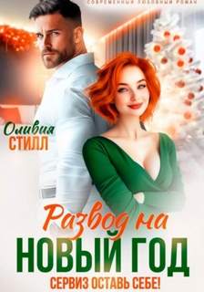 Развод на Новый год. Сервиз оставь себе! — Стилл Оливия