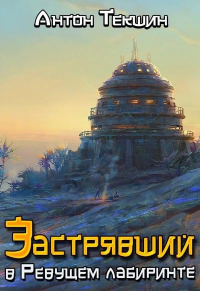 Застрявший. Книга 4. Застрявший в Ревущем лабиринте — Текшин Антон