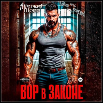 Вор в законе - Шерр Анастасия