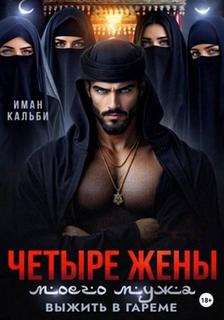 Четыре жены моего мужа. Выжить в гареме — Кальби Иман