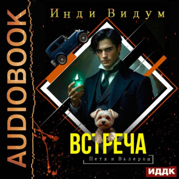 Встреча - Видум Инди